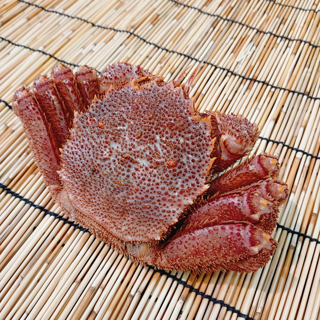 公式通販】 – 広海水産｜函館直送！海産物・カニ通販